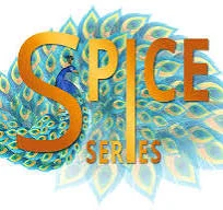 SPiCE International