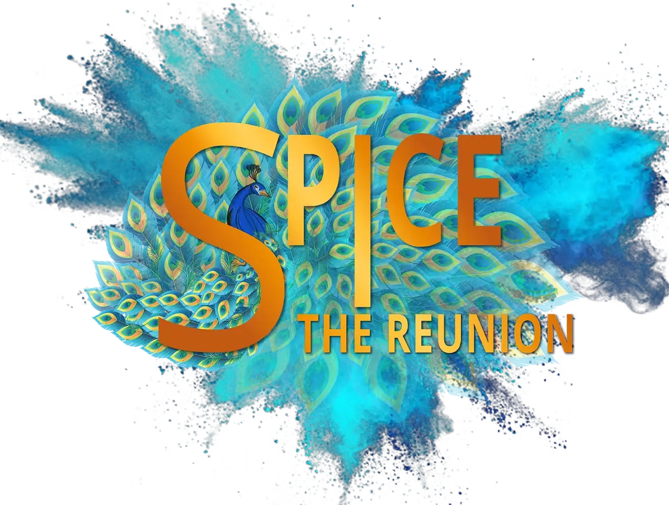 Spice The Reunion