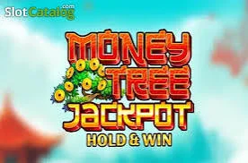 Money Tree Jackpot Hold & Win